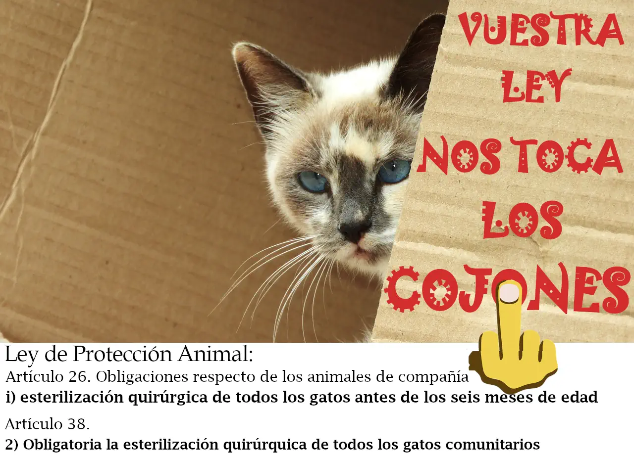 Novedades, avances y contradicciones de la Nueva Ley estatal de Protección Animal