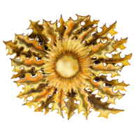 Nire lehenengo euskara